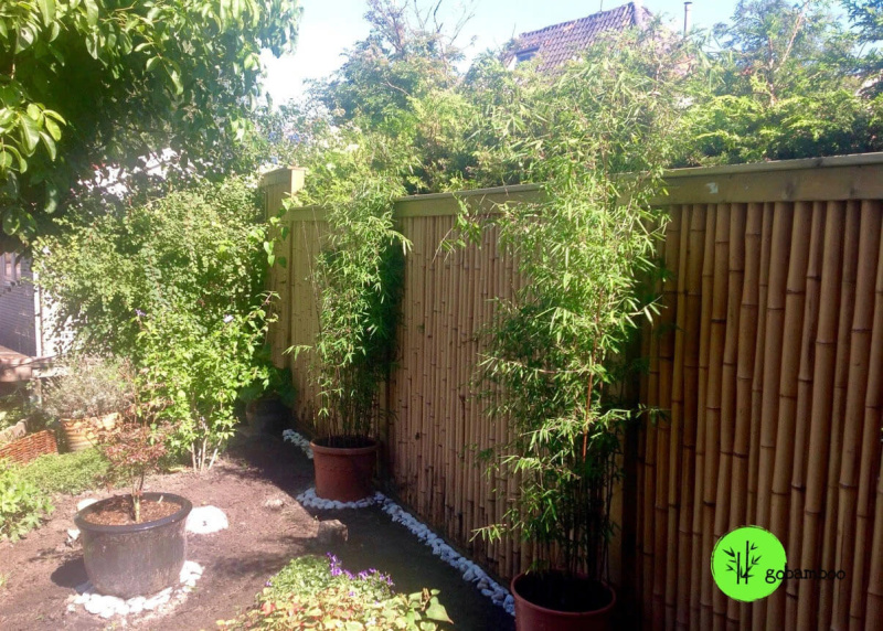 inspirace bambusový plot